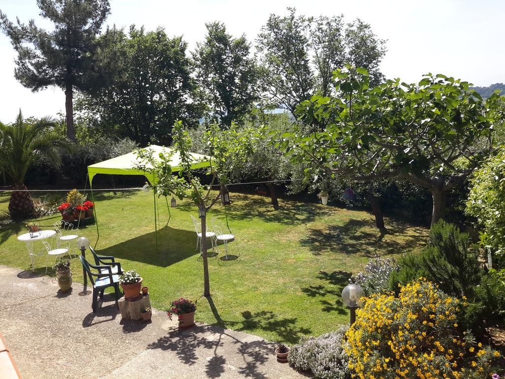 B&B L'Albero Di Antonia Atri Luaran gambar