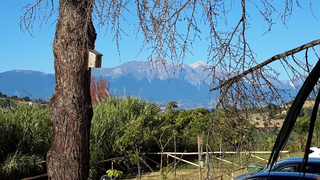 B&B L'Albero Di Antonia Atri Luaran gambar