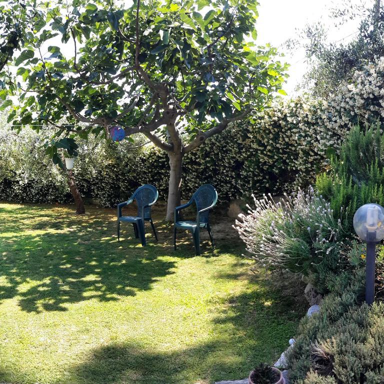 B&B L'Albero Di Antonia Atri Luaran gambar